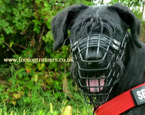 wire dog muzzles for schnauzer dogs