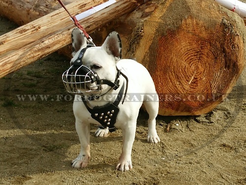 French Bulldog Basket Muzzle for Flat Nosed Dogs