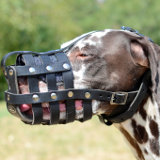 Comfortable dog leather muzzle