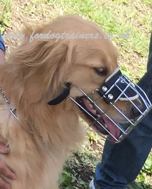 Wire dog muzzle