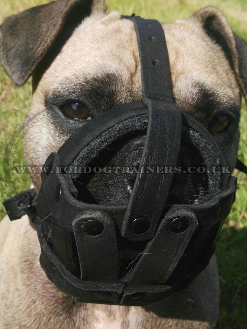 French Bulldog Muzzle for Flat Nose Dog