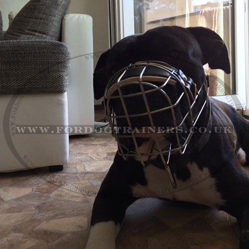 metal cage dog muzzle for staffordshirre bull terrier