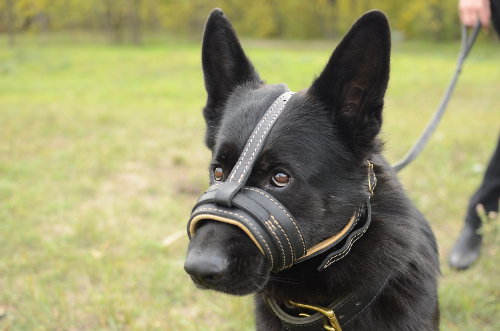 German Shepherd Leather Muzzle for Dogs
