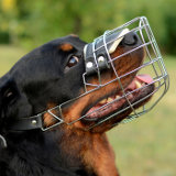 Comfortable padded dog wire muzzle