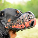 Painted dog muzzle