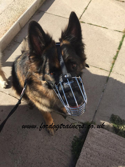 German Shepherd muzzle with padded wire basket