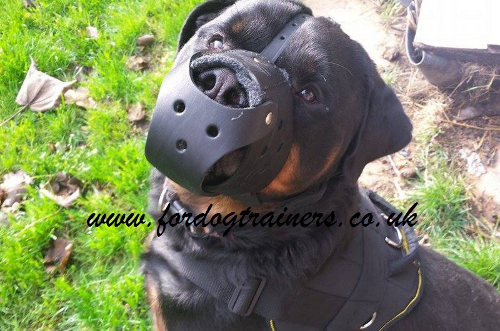 Leather
Dog Muzzle for Rottweiler
