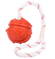 Dog Rubber Ball on String | Dog Bad Breath Fight Toy UK