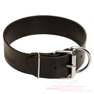 Extra Wide Dog Collars, 2