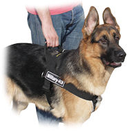 Non Pull Dog Harness for German Shepherd Training
