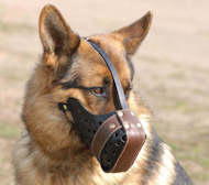 German Shepherd Leather muzzle for dog "Dondi plus"