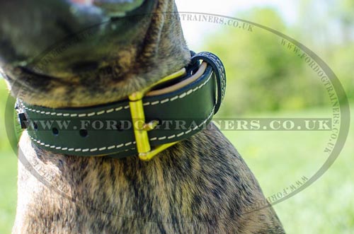 Handmade Leather Dog Collars