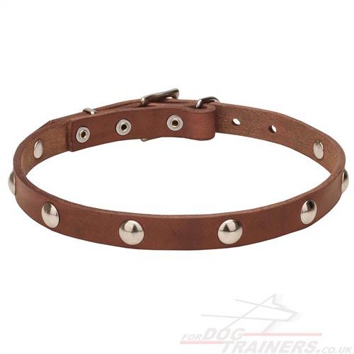 Handmade Leather Collars for Dogs