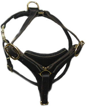 Walking perfect dog harness for Rottweiler