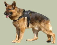 German Shepherd Nylon multi-purpose dog harness UK German Shepherd Nylon multi-purpose dog harness UK