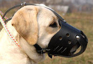 Leather Dog Muzzle for Labrador Dog Muzzle Size Daily Safety - Click Image to Close