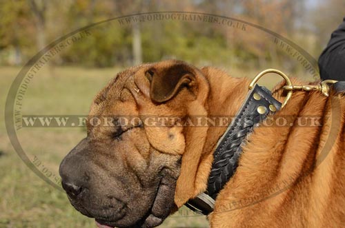 Shar Pei Dogs Collars Braided Style