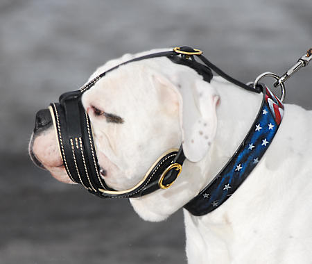 American Bulldog Muzzle Soft Padded | Leather Dog Muzzles UK