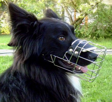 BESTSELLER Dog Muzzle for Collie, Allows Drinking and Panting