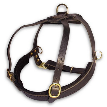 Doberman Harness for Pulling and Tracking | Leather Dog Harness - Click Image to Close