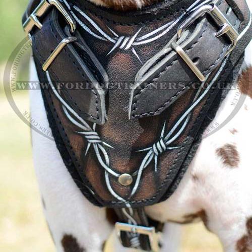 Gorgeous Dog Harness "Wire" for Dalmatian Training