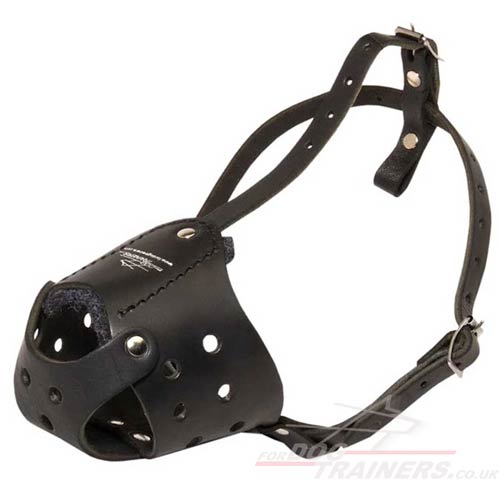 Black Leather Dog Muzzle for Everyday Use