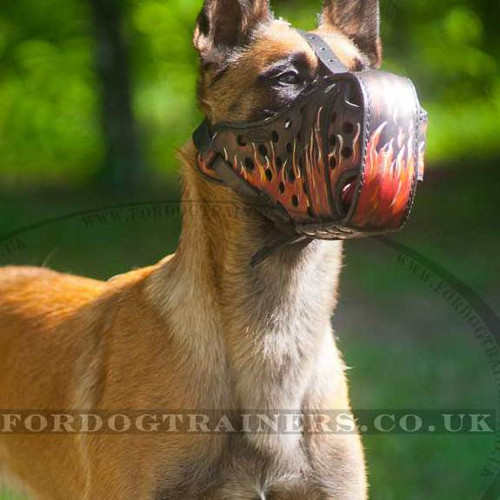 K9 Equipment: Leather Dog Muzzle for Belgian Shepherd Malinois