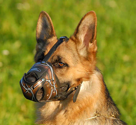 Exclusive Painted Leather Basket Dog Muzzle for German Shepherd