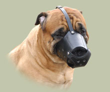 Muzzle for Masiff | Bullmastiff Muzzle for Daily Use - Click Image to Close