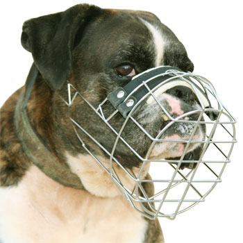 Buy Boxer Dog Muzzle Basket Type