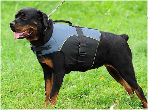 Nylon Dog Harness Vest | Rottweiler Harness UK for Outdoors