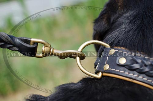 Swiss Mountain Dog Collar Braided | Royal Dog Collar Soft Padded