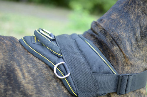 Nylon dog harness with handle