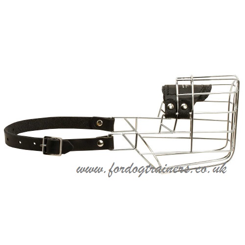 Basket Dalmatian Muzzle For Dogs So They Can Drink
