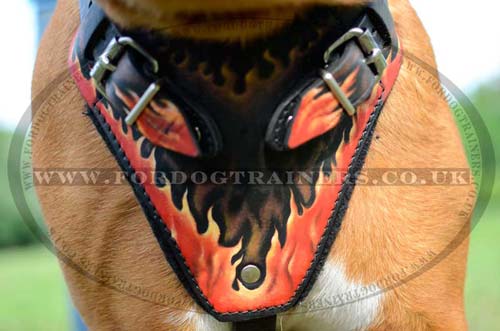 Harness for Dogue De Bordeaux with NEW Painted Design "Flame"