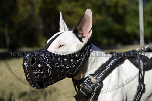English Bull Terrier Muzzle Hand Painted Leather