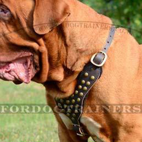 Handmade Dog Harness for Dogue De Bordeaux and Large Dogs
