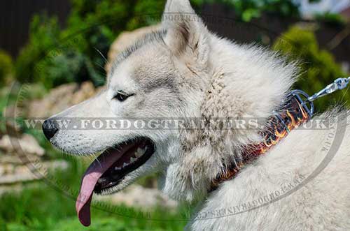 Husky Collar with Painting Flame EXCLUSIVE HANDMADE DESIGN