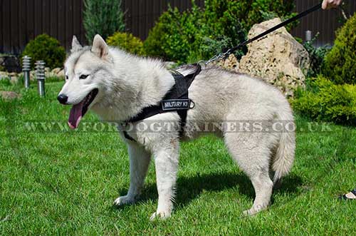 Husky Dog Harness for STOP PULLING! Bestseller!