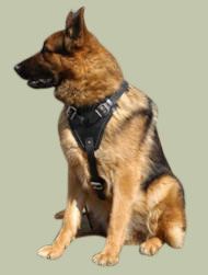 German Shepherd padded harness, working dog bestseller UK