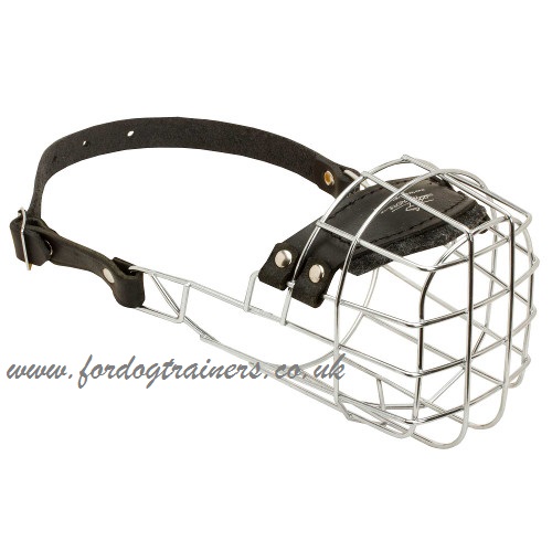 Muzzle for Staffy Snout Form | Wire Dog Muzzle for Amstaff