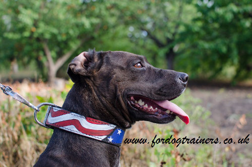 Handpainted Dog Collar for Pitbull, Stars and Straps Design