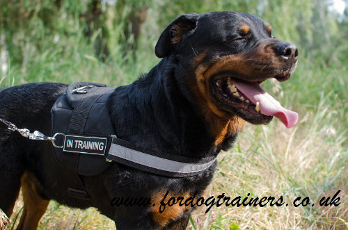 Reflective Dog Harness for Rottweiler Service Dogs, with Patches