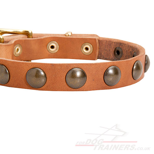 Puppy Dog Collar | Small Dog Collar with Brass Round Studs