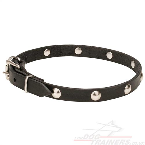 "Smart Elegance" Leather Dog Collar with Pins