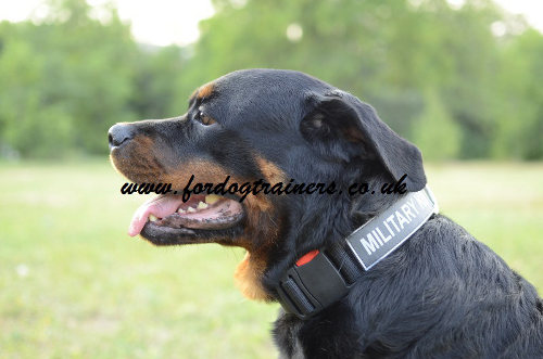 Rottweiler Dog Training Collar | Nylon Dog Collar for Rottweiler