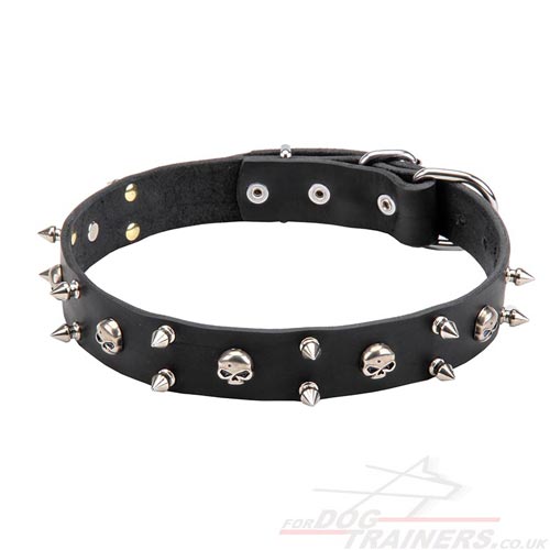 Top Quality Designer Dog Collar with Skulls and Spikes