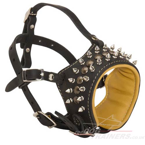 Spiked Leather Dog Muzzle Loop Padded with Nappa, Adjustable