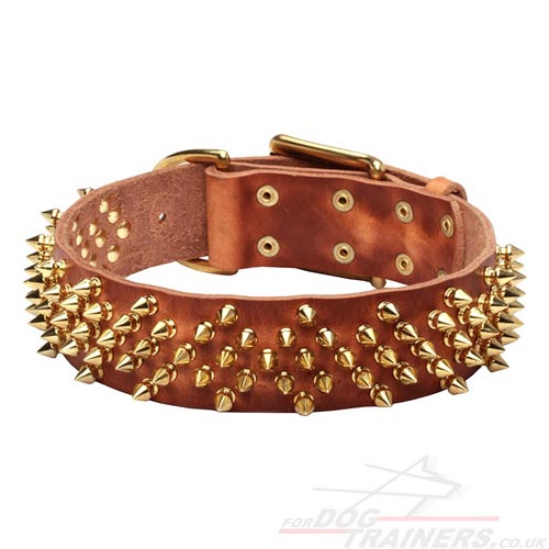 NEW Handmade Dog Collar with Golden-Shiny Spikes
