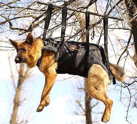 tactical insertion dog rappelling harness